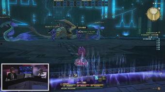 夜凯最新爆料图片大全,图片大全揭秘幕后真相